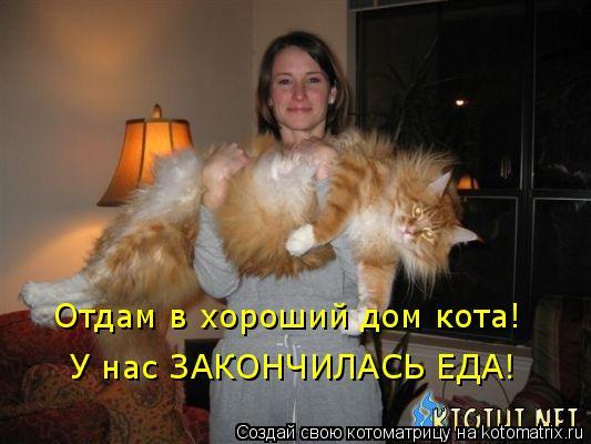 звезды после липосакции звезды после липосакции
