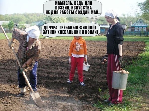 Фото монстер цветок Фото монстер цветок