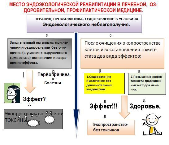 Схема эндоэкологическая реабилитация по левину5 Схема эндоэкологическая реабилитация по левину5