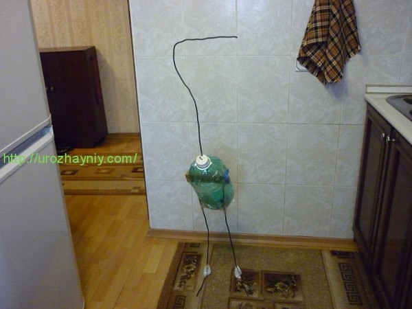 Цаплю в домашних условиях