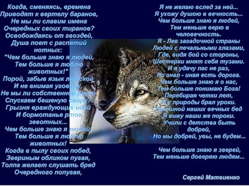 Звери люди а не волки стих Звери люди а не волки стих