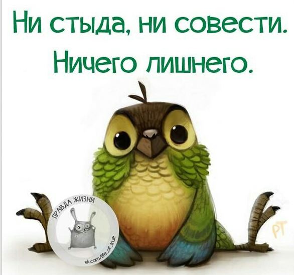 Было ли стыдно за подарок Было ли стыдно за подарок