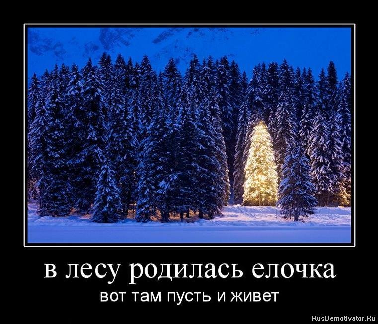 За новый год вырубается елок За новый год вырубается елок