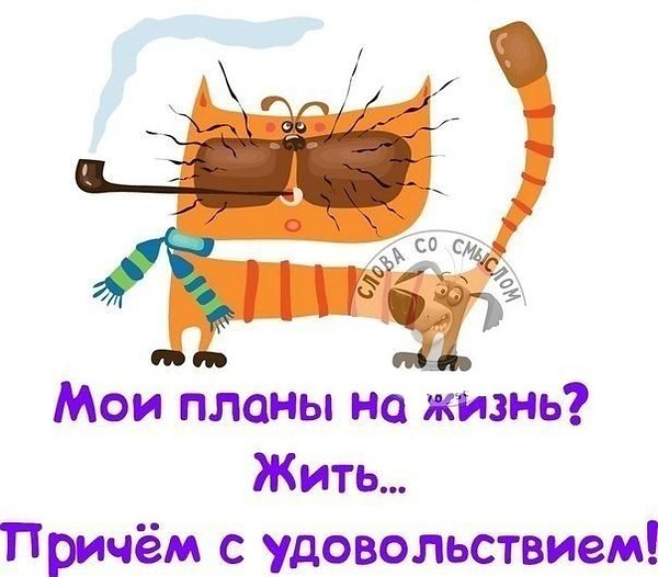 Кровать от удовольствия поздравление Кровать от удовольствия поздравление