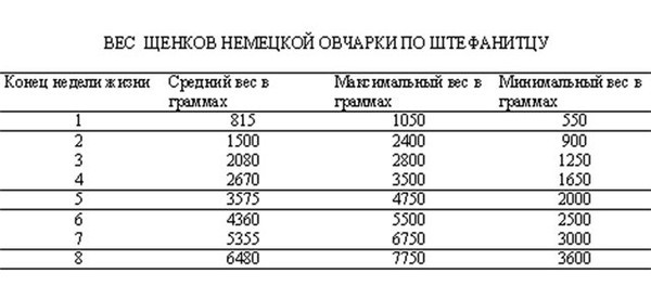 1 ГОД НОРМА 1 год норма: