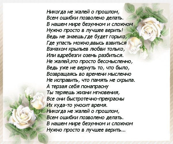 Стих никогда не очем не жалейте вдогонку Стих никогда не очем не жалейте вдогонку