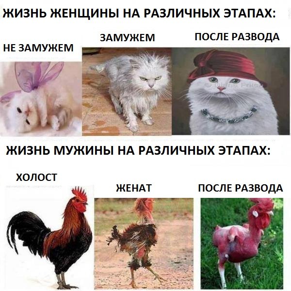 Как правильно сделать вечерний макияж Жезл отношений Форум