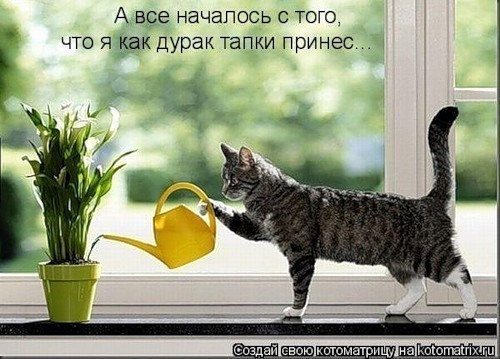 Теперь ты ученик стих Теперь ты ученик стих