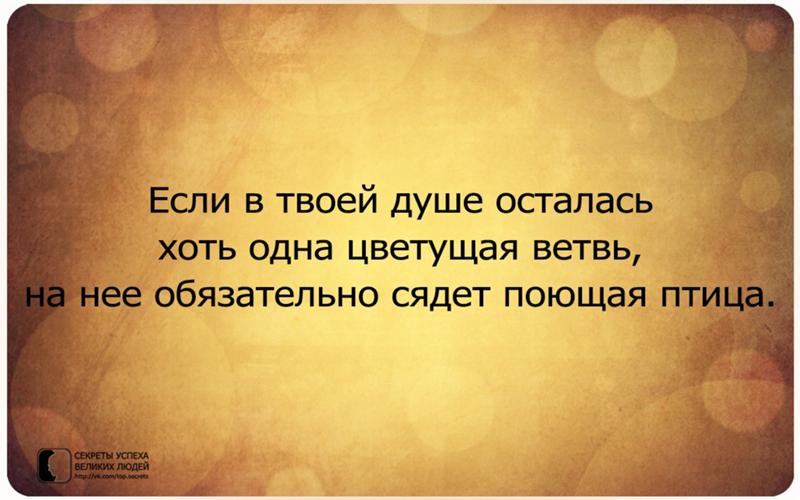 Новый год это цитаты великих людей Новый год это цитаты великих людей