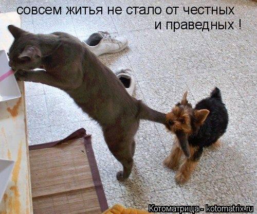 Как сделать чтобы ко мне не лезли Как сделать чтобы ко мне не лезли