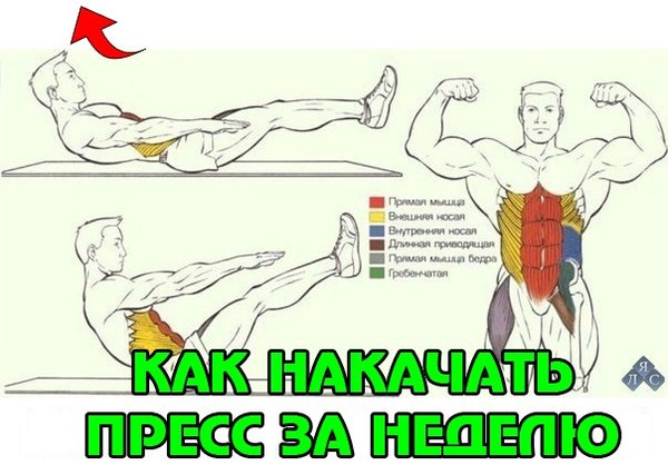 Как накачать пресс за неделю и убрать жир в домашних условиях