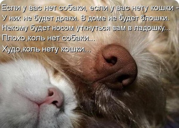 Сопит носик стих Сопит носик стих