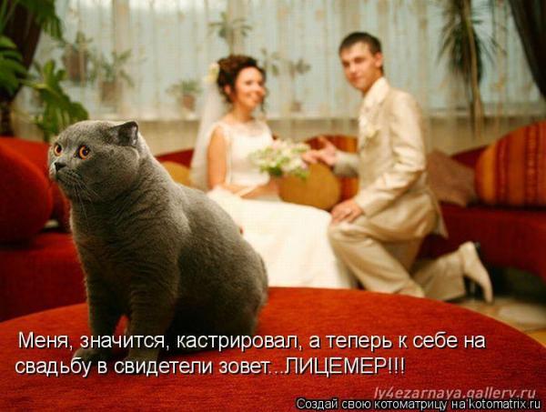Где и как сидят свидетели на свадьбе Где и как сидят свидетели на свадьбе