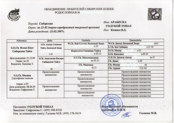 Как сделать документы на шотландского ко Как сделать документы на шотландского ко