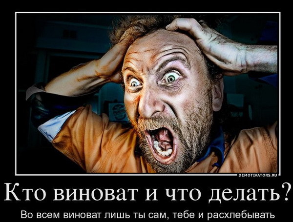 Кто виноват и что делать стих Кто виноват и что делать стих