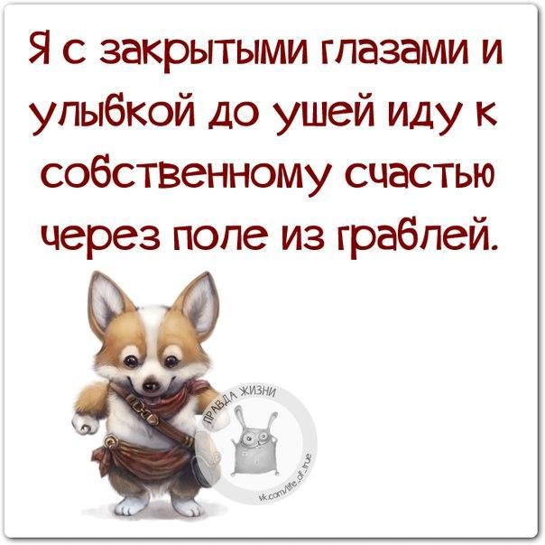 Когда идешь по жизни статусы Когда идешь по жизни статусы