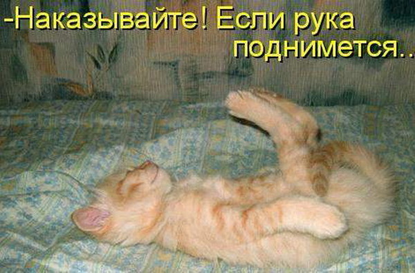 Я не доволен своими руками Я не доволен своими руками