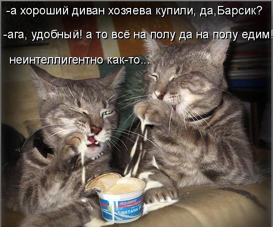 Тебя а не сметану стих Тебя а не сметану стих
