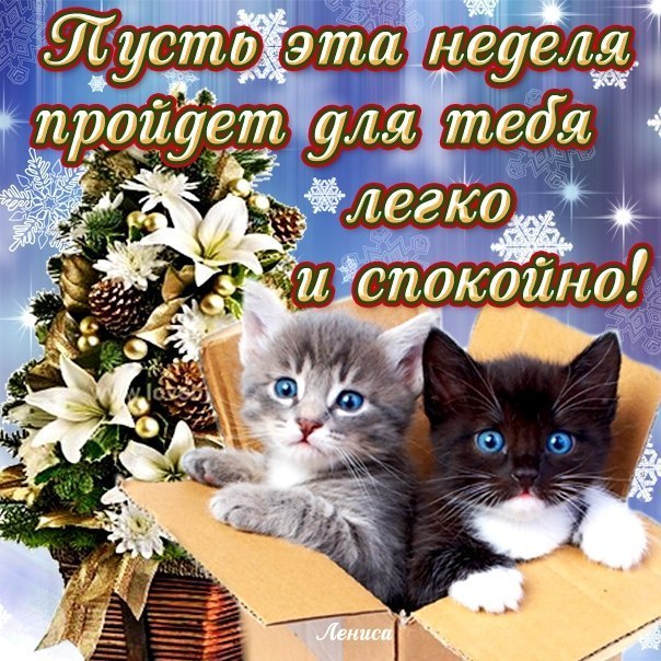 Сделать открытки для мам своими руками Сделать открытки для мам своими руками