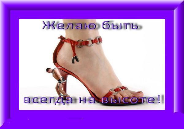 Поздравления с днем подкаблучника Поздравления с днем подкаблучника