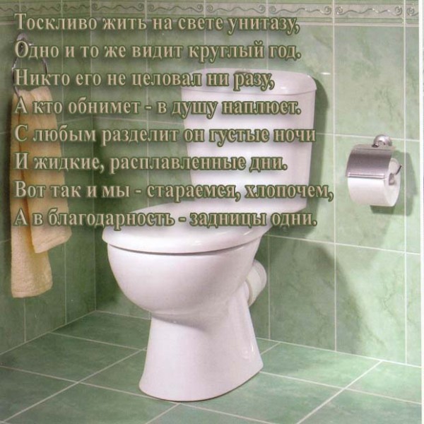 Пословица про туалет Пословица про туалет