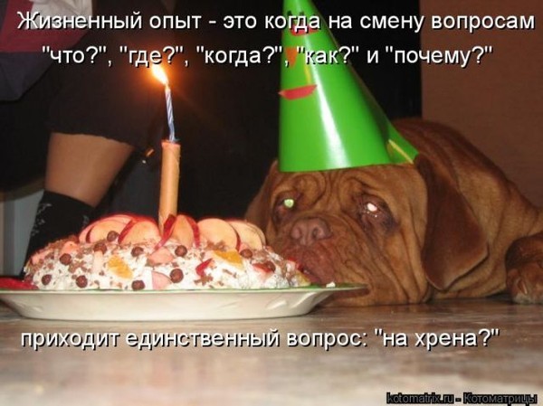 Жизненный опыт в поздравление Жизненный опыт в поздравление