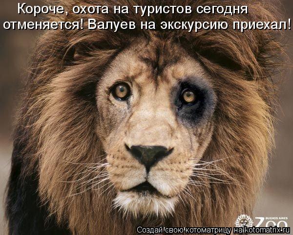 Стих во мне львица Стих во мне львица