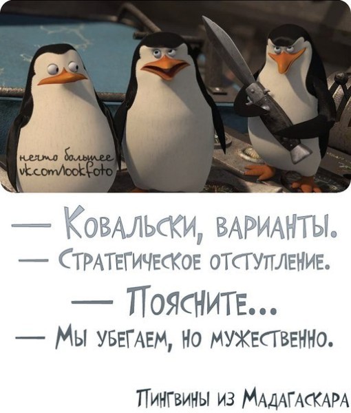 Цитаты с пингвинами Цитаты с пингвинами