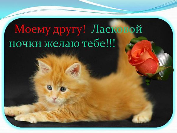 Пожелания спокойной ночи другу открытка