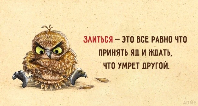 Можно злиться что все пошло не такое Можно злиться что все пошло не такое