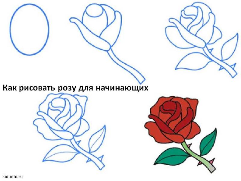Чертеж кирпичного мангала своими руками Чертеж кирпичного мангала своими руками
