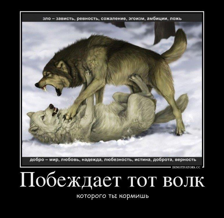 Самодельные телескопические удочки Самодельные телескопические удочки