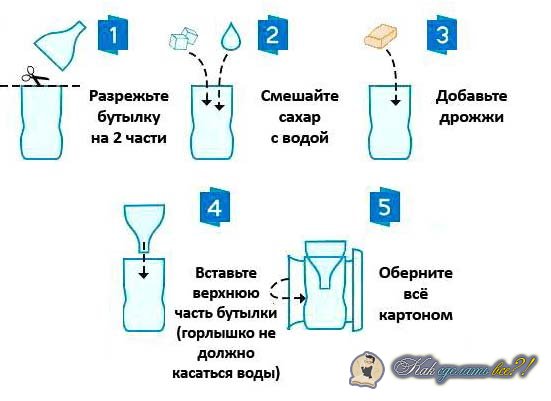Интернет магазин ультразвуковых отпугивателей и средств от Разведение и содержание фазанов в домашних условиях