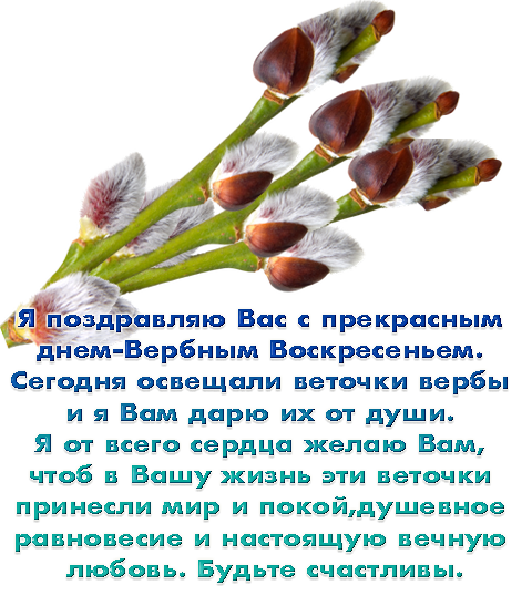 Поздравления на вербное воскресенье с вербным воскресеньем Поздравления на вербное воскресенье с вербным воскресеньем