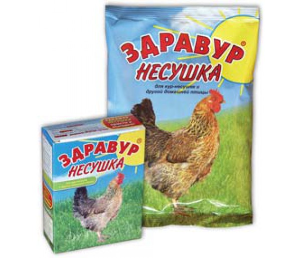 Витамины для кур несушек