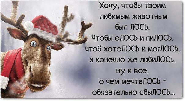 Тост чтоб хотелось чтоб моглось Тост чтоб хотелось чтоб моглось