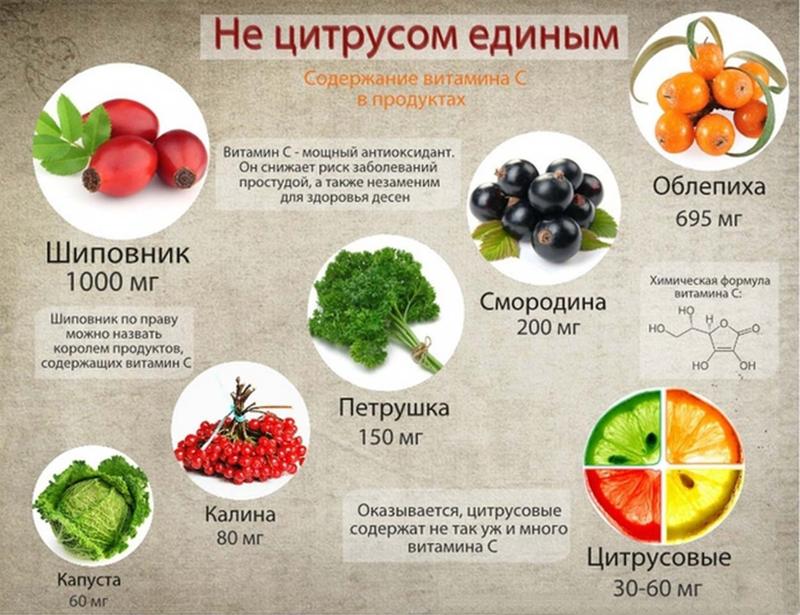 Витамин в для цветов в домашних условиях 387