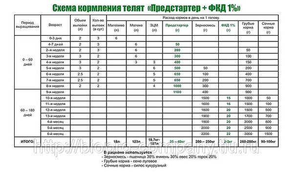 Чем кормить месячного теленка в домашних условиях Чем кормить месячного теленка в домашних условиях