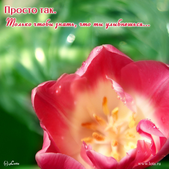 Роды дома кто мне поможет Роды дома кто мне поможет