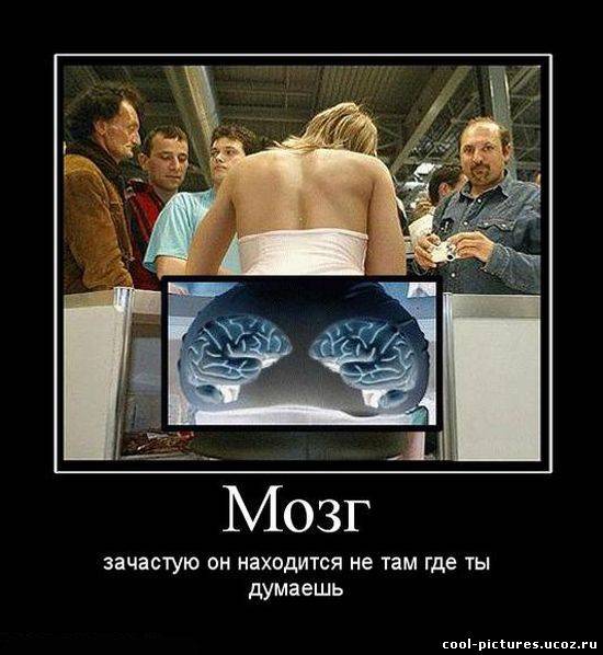 kak-ne-ebat-mozg-muzhu