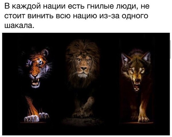Статус про гнилого человека Статус про гнилого человека