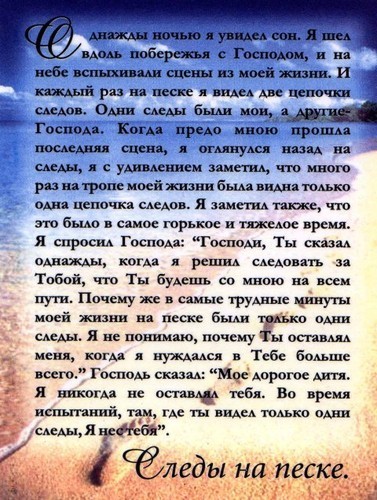 Тосты о жизни и жизнь Тосты о жизни и жизнь