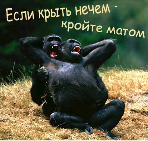 Поздравления приколы матом