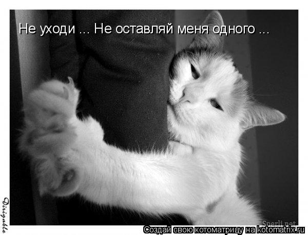 Дай мне свою руку не оставляй меня Дай мне свою руку не оставляй меня