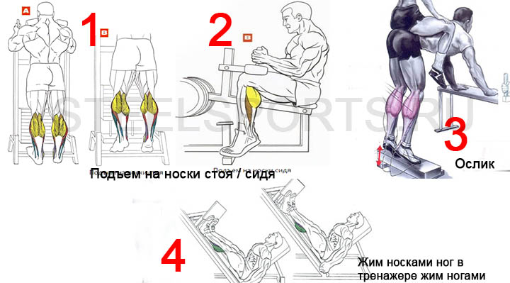 Как накачать икры ног в домашних условиях Как накачать икры ног в домашних условиях