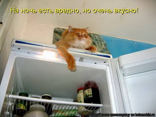 Стих ты открываешь свой холодильник Стих ты открываешь свой холодильник