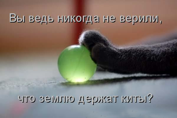 Не верите а ведь подарим Не верите а ведь подарим