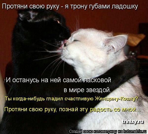 Протяни руки свои к огню Протяни руки свои к