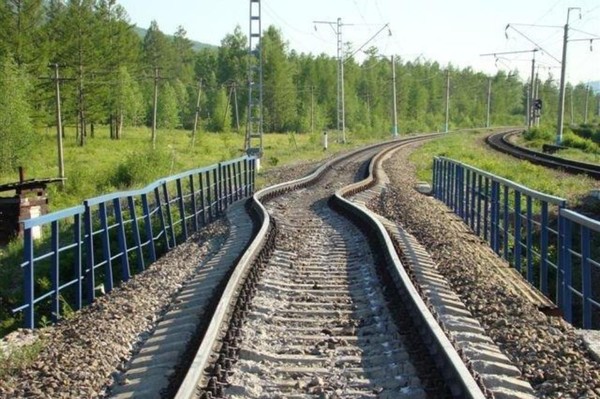 Что такое рельсовые плети бесстыкового пути Что такое рельсовые плети бесстыкового пути