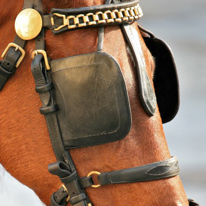 97347383_881537daed051a1008be6d05ce9e993